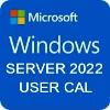 Microsoft WINDOWS SERVER 2022 - 10 USER CALS